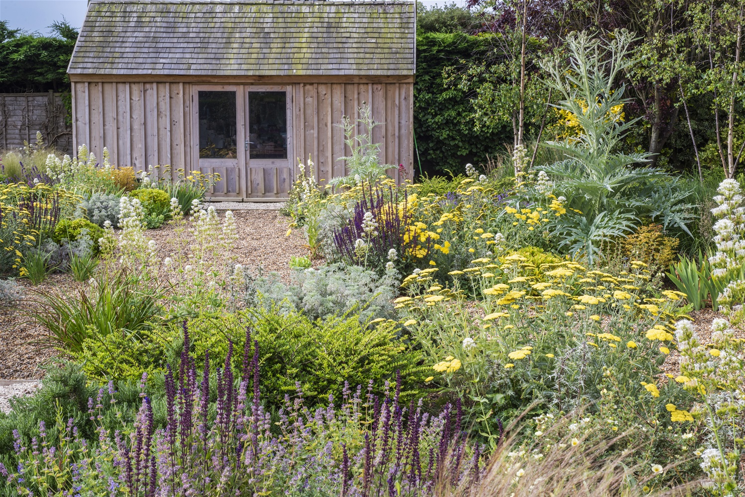 Bespoke landscaping in a coastal garden