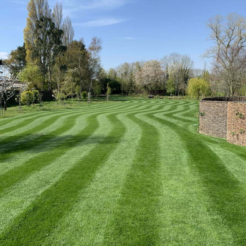 Lawncare example in Suffolk garden